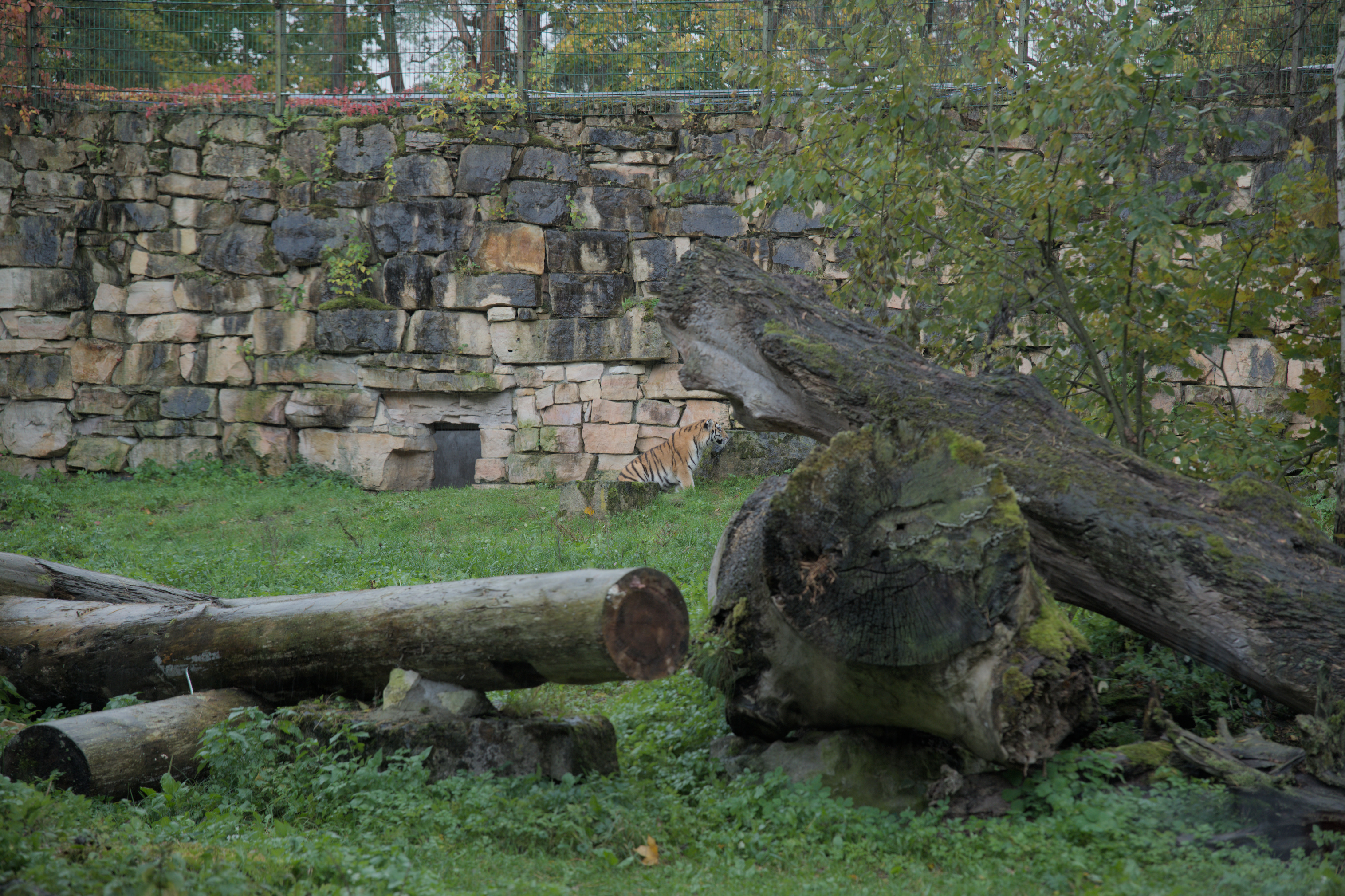 2025/10/12 - zoo/DSC_0114.jpg